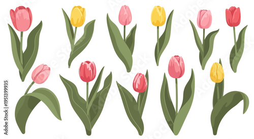 Tulips in a colorful floral arrangement. Vector Illustrations. EPS Editable