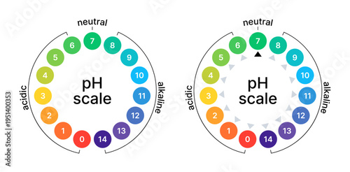 Ph balance scale. Acid or alkaline value. Circle chart test. Litmus indicator for chemistry, medicine, and soil.