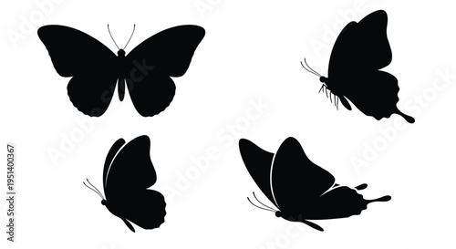 Four butterflies in various flight poses depicted as a dark silhouette