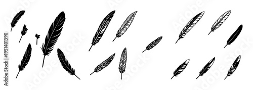 Feather icons set with black feather illustrations featuring vector, line art, minimal clean design with icons and symbols