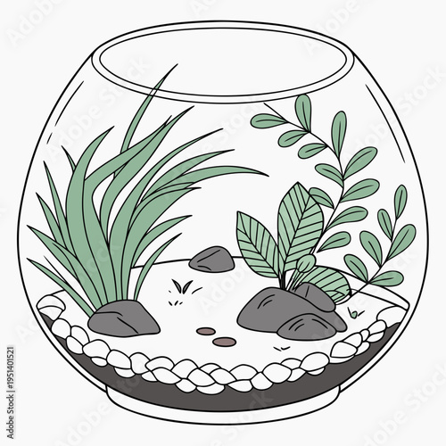 Glass Plant Terrarium
