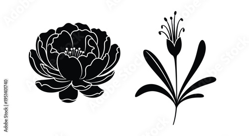 Delicate floral arrangement featuring a peony and a slender bloom silhouette