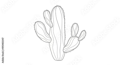 Minimalist Line Art Cactus Illustration