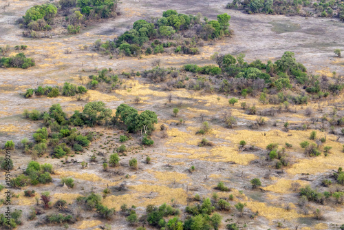 An aerial shot of a rather dry savanna in Okavango delta during an evening near Maun, Botswana