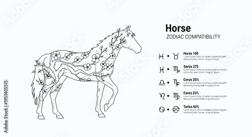Zodiac Horse Compatibility Astrology Diagram Illustration.