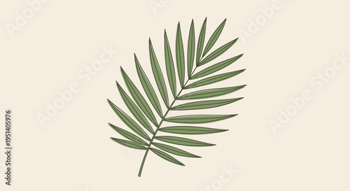 Green Palm Frond Illustration on Beige Background