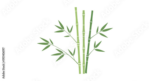 Green Bamboo Stalks and Leaves on White Background