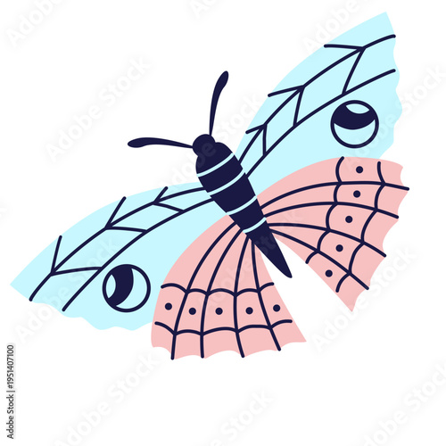 Stylized pink and blue moth in side view. Decorative insect illustration with pattern wings.