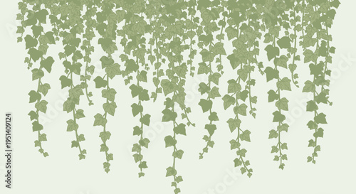 Green Ivy Vines Hanging Down - Natural Texture Background