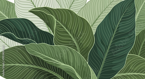 Tropical Leaves Pattern Wallpaper, Greenery Botanical Background, Exotic Plant Foliage