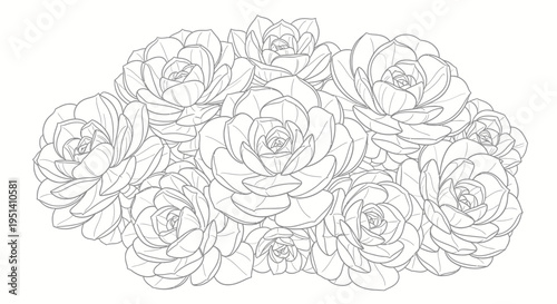 Line Drawing Succulent Plant Cluster