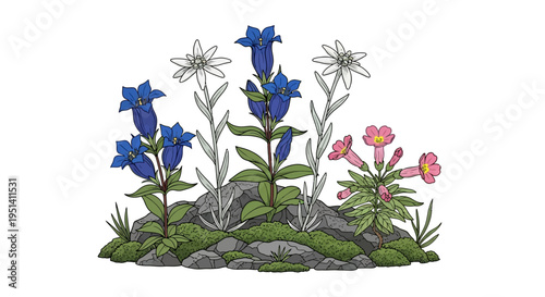 Alpine Flowers: Gentian, Edelweiss, and Primrose on Rocky Terrain