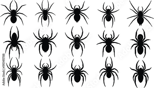 Spider silhouettes collection showing different spider species isolated vector illustration for halloween decoration creepy insect wildlife design and scary theme