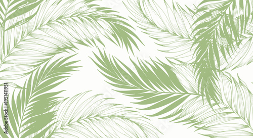 Green Palm Leaves Pattern on White Background, Tropical Foliage Design
