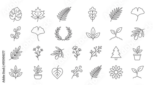 Eco leaf outline vector icons illustrate various plants and foliage in a simple line style