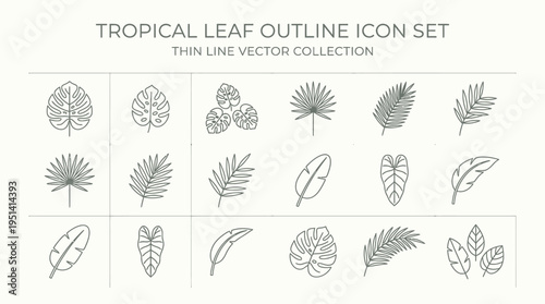 Tropical leaf outline icons showcase various plants in a detailed collection