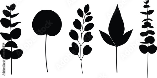 Leaf plant silhouettes botanical foliage branches minimal nature elements garden plant vector illustration set isolated decorative design