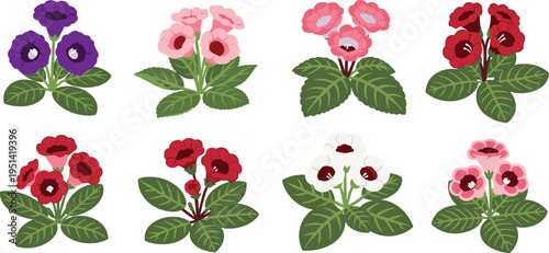 Gloxinia flower vector set. Vibrant red, pink and purple blossoms with green leaves. Botanical illustration collection for houseplants, floral design, and decorative graphics.