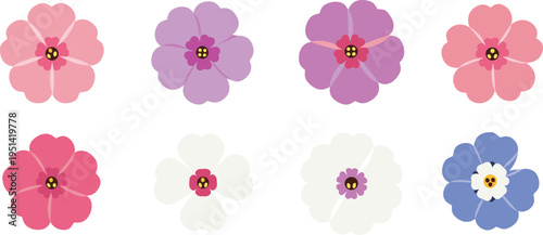 Phlox flower set collection. Colorful five petal blossoms in soft pastel shades. Botanical floral elements, decorative garden vector illustration isolated.