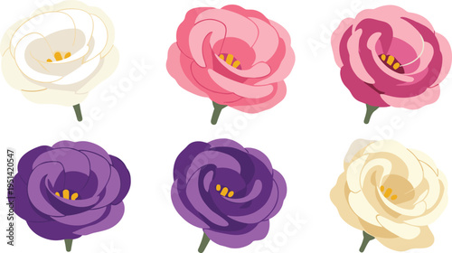 Lisianthus flower heads collection. Elegant rose like blooms in soft pastel colors. Botanical floral elements isolated, decorative vector illustration set.