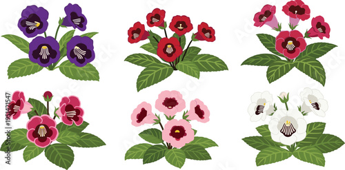 Gloxinia flower vector collection. Vibrant red, pink, purple and white blossoms with lush green leaves. Botanical illustration set for houseplants, floral design, and decorative graphics.