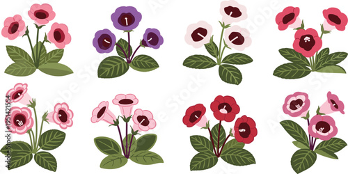 Gloxinia flower vector collection. Vibrant pink, red, purple and white blossoms with green leaves. Botanical illustration set for houseplants, floral design, and decorative graphics.