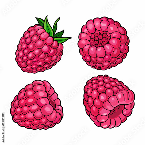 Four vibrant raspberries depicted in a colorful illustrative style