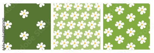 Daisies flowers green background seamless pattern set vector illustration white yellow floral wallpaper textile print design template mockup copy space