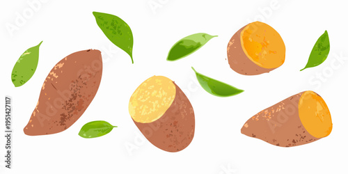 Illustration of sweet potatoes both whole and cut with green leaves