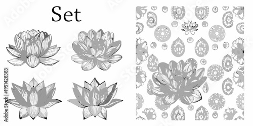 Floral set displaying lotus flower illustrations and a repeating pattern