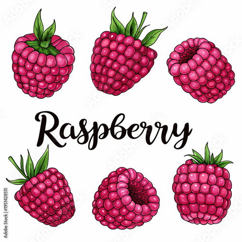 A watercolor illustration of several ripe raspberries with green leaves