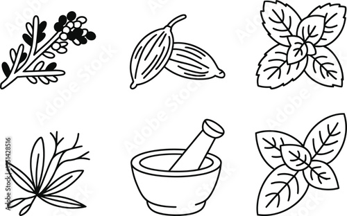 Illustrations of common herbs and a mortar for grinding spices