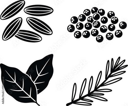 Illustrations of common culinary herbs and spices: cardamom, peppercorns, bay leaf, and rosemary