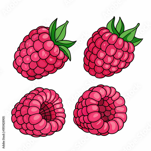 Four cartoon raspberries with green leaves are displayed on a white background