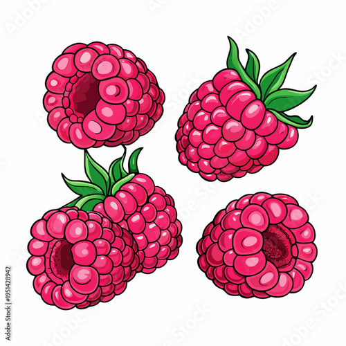 Four vibrant raspberries are illustrated with detailed textures and green leaves