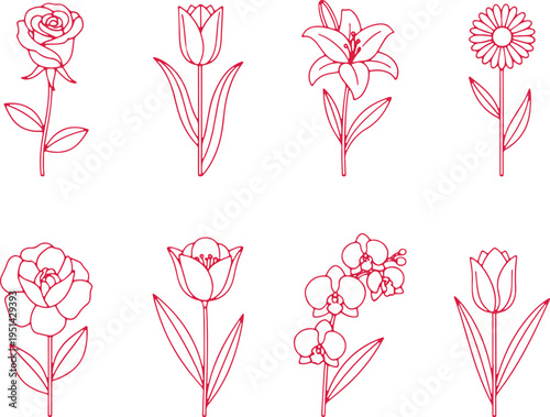 Elegant line drawings of eight different flowers arranged in two rows of four