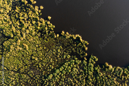 An aerial shot of a wetland in Okavango delta during an evening near Maun, Botswana