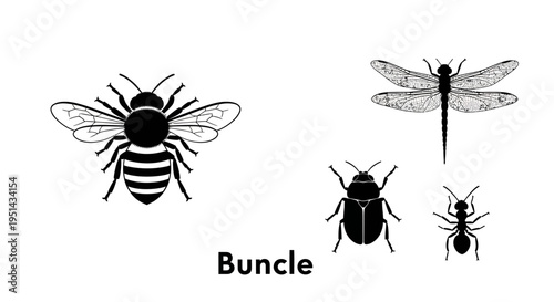 Insect Silhouettes: Bee, Dragonfly, Beetle, Ant - Vector Collection