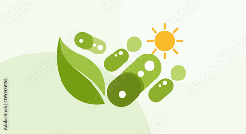 Green Leaf with Capsules and Sun Icon - Natural Health and Vitamin Concept