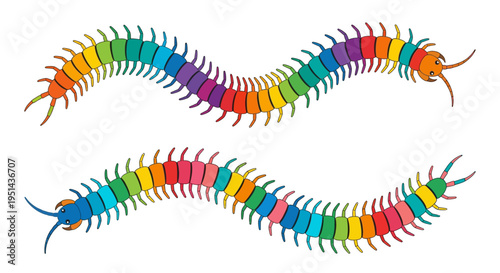 Colorful centipedes illustration with vibrant rainbow segments and detailed legs