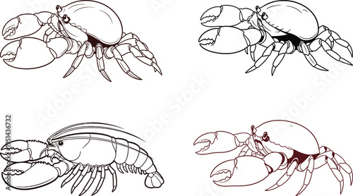 Silhouette illustrations of crabs in various positions and angles featuring silhouette