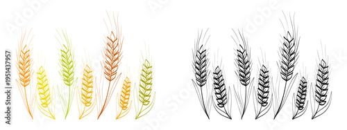 Wheat, barley and rye ears vector illustration. Wheat wreaths and grain spikes set icon. Farm wheat ears icon set. Editable stroke.