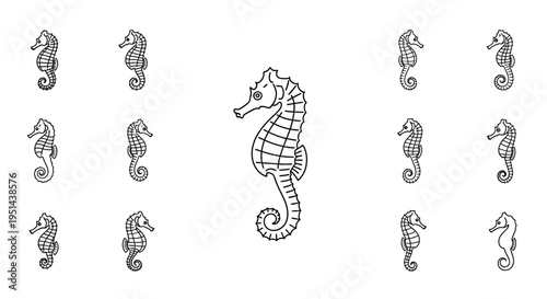 Seahorse marine animal side view.
