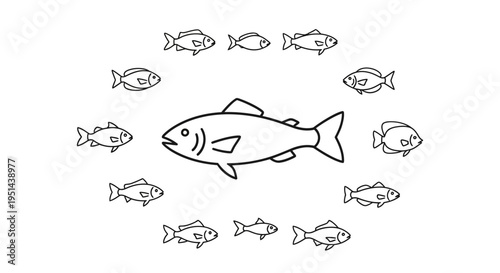 School of fish swimming together.