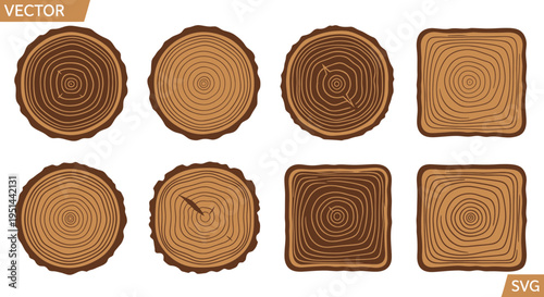 Tree Ring Cross-Sections: Round and Square Wood Slices Vector Set