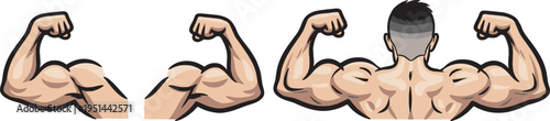 set of muscle and fitness icons, flexing arms and bodybuilding symbols, colored vector collection on transparent background