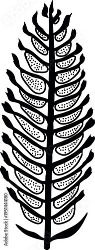 Black silhouette of the cross-section of male spruce cone. Diagram showing pollen cones
