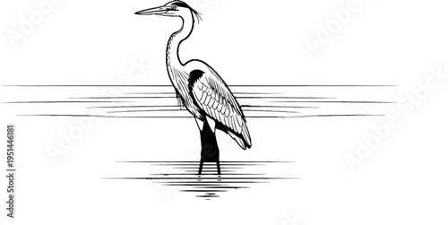 A graceful bird stands tall in the water, its reflection shimmering below
