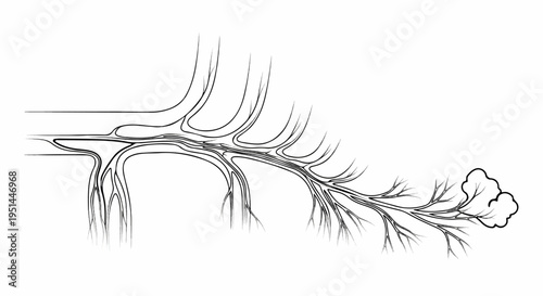 Abstract branching pattern resembling veins or roots with a cluster of leaves at the end