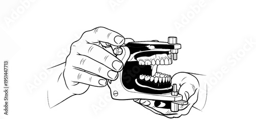 Hands holding a dental articulator with artificial teeth